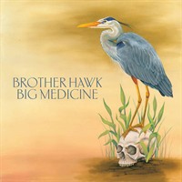 2016- Big Medicine