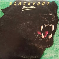 1980- Tomcattin'