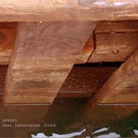 2003- Ibai Lehorretan Itota