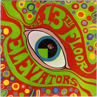 1966- The Psychedelic Sounds