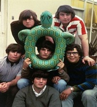 Turtles