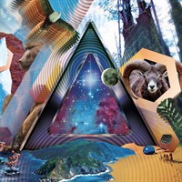 2011- Universal Pulse